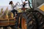 farm aid, covid-19, trump sanctions 19 billion for the aid of farmers hit by pandemic, Relief package