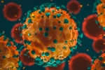 Coronavirus India, Coronavirus India tally, 37 875 new coronavirus cases reported in india, Union health ministry