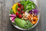 plant based diet, plant based diet, important factors to know before transitioning to a vegan lifestyle, Vegan lifestyle