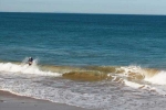 Pande, Aakansha Pande, indian origin world bank senior economist drowns at bali beach, Aakansha pande