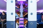 Air New Zealand Bunk Beds new updates, Air New Zealand Bunk Beds new updates, air new zealand introduces bunk beds in economy flights, New zealand Air New Zealand Bunk Beds new updates, Air New Zealand Bunk Beds new updates, air new zealand introduces bunk beds in economy flights, New zealand