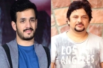 Surendar Reddy, Akhil Akkineni news, akhil akkineni and surendar reddy joins hands, Coronavirus lockdown