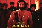 Animal movie, Animal film, record breaking nominations for animal, Red chillies