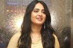 Anushka latest news, Anushka upcoming projects, anushka s next project updates, Naveen polishetty