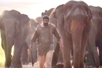 Aranya​ movie rating, Aranya​ movie review and rating, aranya movie review rating story cast and crew, Vishnu vishal