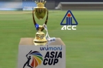 PCB, PCB, asia cup is canceled bcci president saurav ganguly, Saurav ganguly PCB, PCB, asia cup is canceled bcci president saurav ganguly, Saurav ganguly