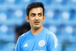 Gautam Gambhir sacked, Gautam Gambhir coach, bcci to sack gautam gambhir, Coach