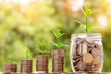Why NRIs Should Invest in Bajaj Finance Fixed Deposit?
