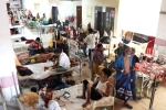 Dengue Outbreak, Bangladesh Dengue Outbreak, bangladesh dengue outbreak death toll crosses 1000, Kung