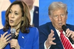 Kamala Harris Vs Donald Trump news, Donald Trump, more billionaires back kamala harris over donald trump, Bill gates