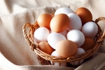Brown Eggs Vs White Eggs latest, Brown Eggs Vs White Eggs, brown eggs vs white eggs which is healthy, Brain Brown Eggs Vs White Eggs latest, Brown Eggs Vs White Eggs, brown eggs vs white eggs which is healthy, Brain