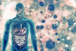 doctors, coronavirus, covid 19 can affect almost all organs experts at aiims, Padma shri