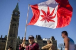 Recreational Marijuana, Canada, canada senate legalizes recreational marijuana, Senate vote