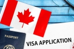 Canada's study visa approvals decline, Canada's study visa approvals shocker, canada s study visa approvals for indian students to drop by 50 in 2024, Indian origin