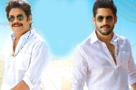 Nagarjuna, Bangarraju ten days, ten days worldwide collections of bangarraju, Soggade chinni nayana