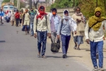 Migrant Workers, Migrant Workers, coronavirus death rates are less but cases have increased after migrants moved, Coronavirus infections