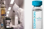 Covaxin India, Coronavirus vaccine, covaxin india s 1st covid 19 vaccine to get approval for human trials, Kung