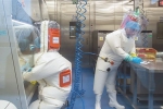 Andrew Huff latest updates, Andrew Huff latest updates, covid 19 was a man made virus claims an american scientist, Infectious diseases