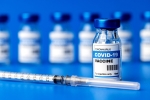 Covid vaccine protection, Covid vaccine protection study, protection of covid vaccine wanes within six months, Antibodies