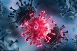 USA Coronavirus updates, Coronavirus, delta variant makes usa tensed again, Pfizer