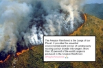 how big is the amazon rainforest, amazon, in pictures devastating fires in amazon rainforest visible from space, Sao paulo