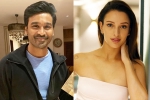 Triptii Dimri next movie, Triptii Dimri breaking, dhanush to romance animal actress triptii dimri, Dhanush