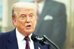 Donald Trump India Ambassador, Sergio Gor latest breaking, donald trump names close political aide as india ambassador, Paul