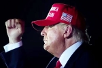 Donald Trump breaking news, Donald Trump shares, donald trump s first promise keeps the stocks tumbling, Usa elections 2024