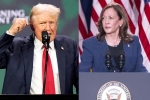 Donald Trump Vs Kamala Harris latest, Donald Trump Vs Kamala Harris updates, donald trump calls kamala harris is married to a jewish man, Scared