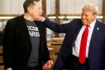 Donald Trump statements, Donald Trump breaking updates, donald trump s praise for musk s starlink, Usa elections 2024