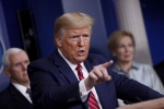 donald trump, white house, donald trump s ban on who funding could get him impeached, Nancy pelosi