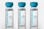 EUL for Covaxin latest developments, WHO, who delays the eul decision on covaxin, Oxford university