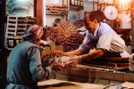 benefits of dates, health benefits of dates, health benefits of eating dates during ramadan, Ramzan