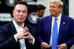 Donald Trump, American Elections 2024, elon musk s big bet on donald trump, American elections 2024