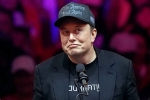 Elon Musk statement, Elon Musk top updates, elon musk mocks federal workers on x, Federal workers