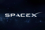 Space X NASA in space, NASA, elon musk s space x to help nasa, 000 pounds