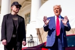 China Tariffs, Elon Musk and Donald Trump news, elon musk asks donald trump to reverse china tariffs, White house