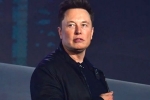 Elon Musk news, Elon Musk latest update, elon musk talks about cage fight again, Domino s