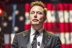 Elon Musk, US elections, is elon musk in the trump cabinet, Donald trump vs elon musk