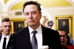 Elon Musk vs Trump Supporters updates, Donald Trump, elon musk vs trump supporters over indian immigrants, Indian immigrants