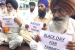 wholesale markets, agents, why farmers and politicians are against modi s farm laws, Commission agents