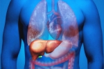 Fatty Liver in Youngsters for health, Fatty Liver in Youngsters, why is fatty liver affecting youngsters, Who