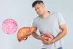Fatty Liver health tips, Fatty Liver news, fatty liver can be reversed in just one month, Ama