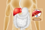 Fatty Liver cure, Fatty Liver news, dangers of fatty liver, V rating