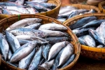 Fish types, Fish for health, eat this fish twice a week to stop hair loss, Sia