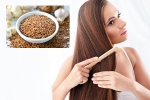 Flaxseeds hair health, Flaxseeds for hair, how flaxseeds can help for a long and healthy hair, Healthy hair