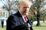 United States, Trump, former u s senators warn of constitutional crisis under trump, Porn star