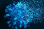 Gene Variant Coronavirus advantage, Gene Variant Coronavirus latest, researchers identify gene variant that protects against coronavirus, Jennifer