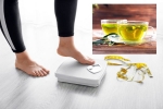 Green Tea for Weight loss survey, Green Tea for Weight loss news, can consuming green tea really help in weight loss, Skin care