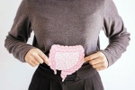 Gut Vs Skin latest breaking, Gut Vs Skin breaking, your gut decides about your skin, Various skin problems